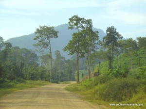 Thee Khee - Dawei road