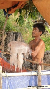 DSC06233-001