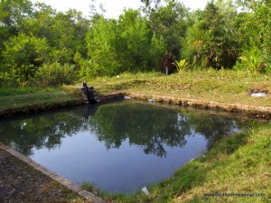 Maungmagan hotpools