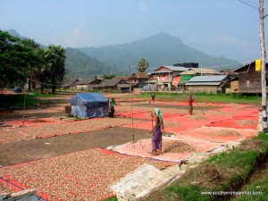 Tanintharyi Village
