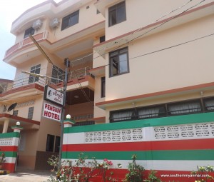 kawthaung penguin hotel 